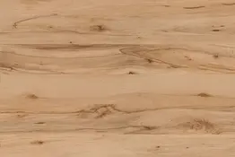 Haya Crenata R 24096 VV