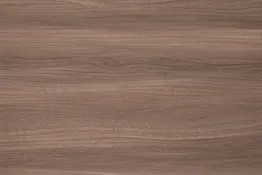 Olmo Baron trufa R 37003 VV